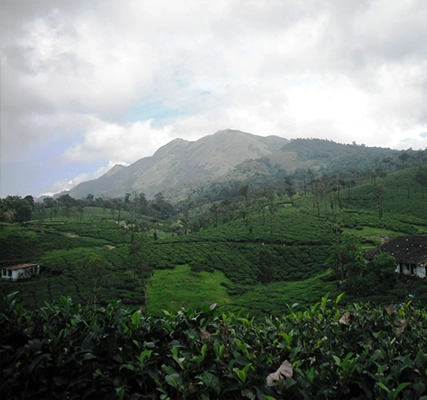 Meenampara View point